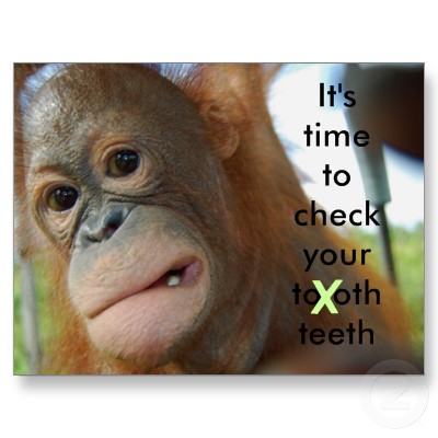 dental checkup reminder